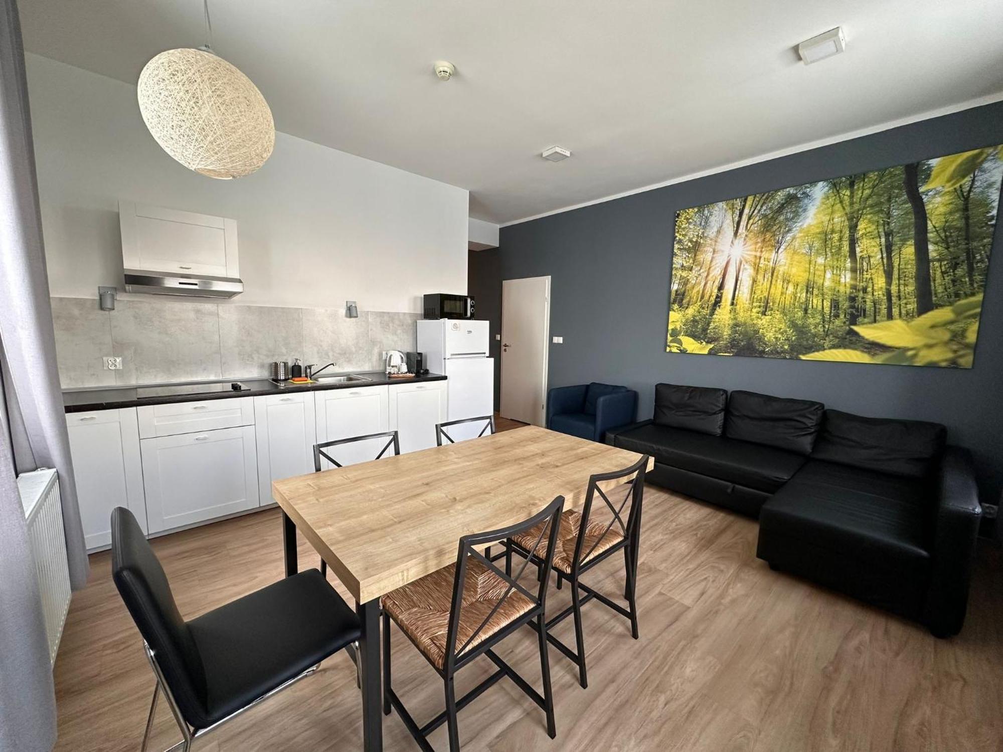 Apartamenty Zieleniec Duszniki Zdrój Pokoj fotografie
