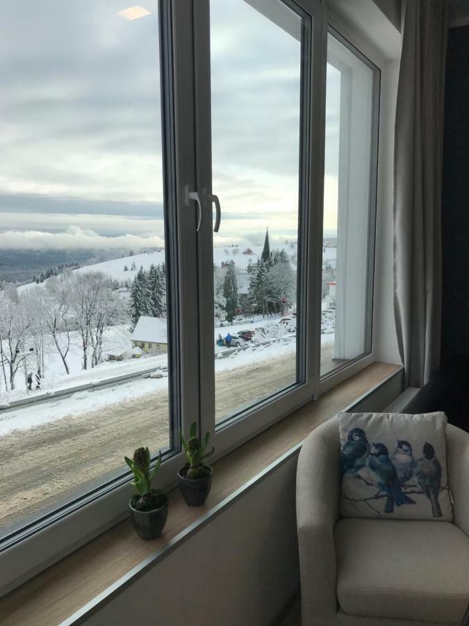 Apartamenty Zieleniec Duszniki Zdrój Exteriér fotografie